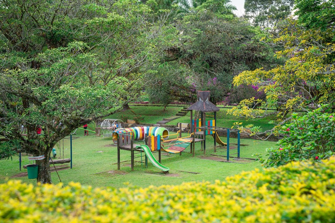 explore experience card